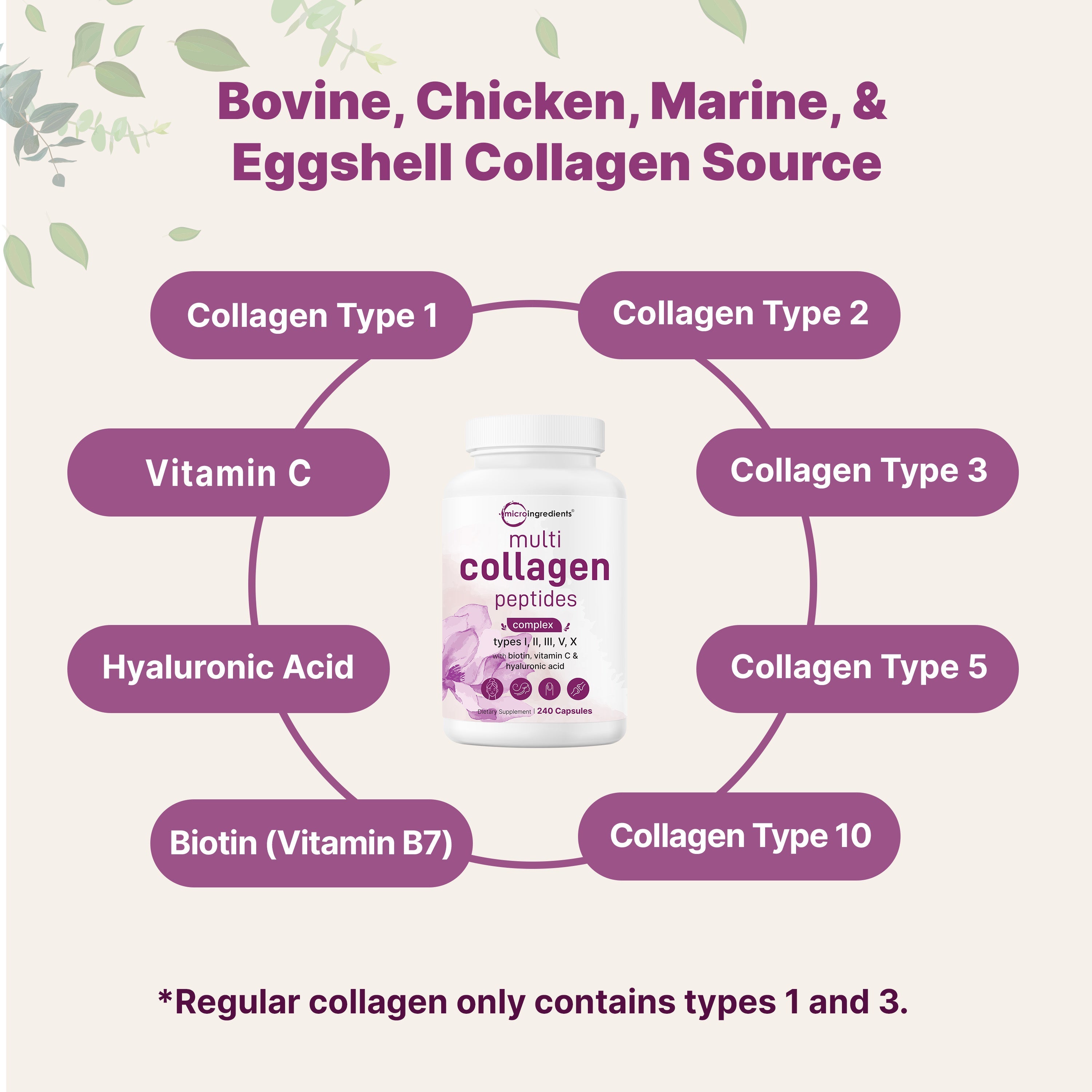 Micro Ingredients 2 Pack Multi Collagen Pills for Women & Men, 480 Capsules