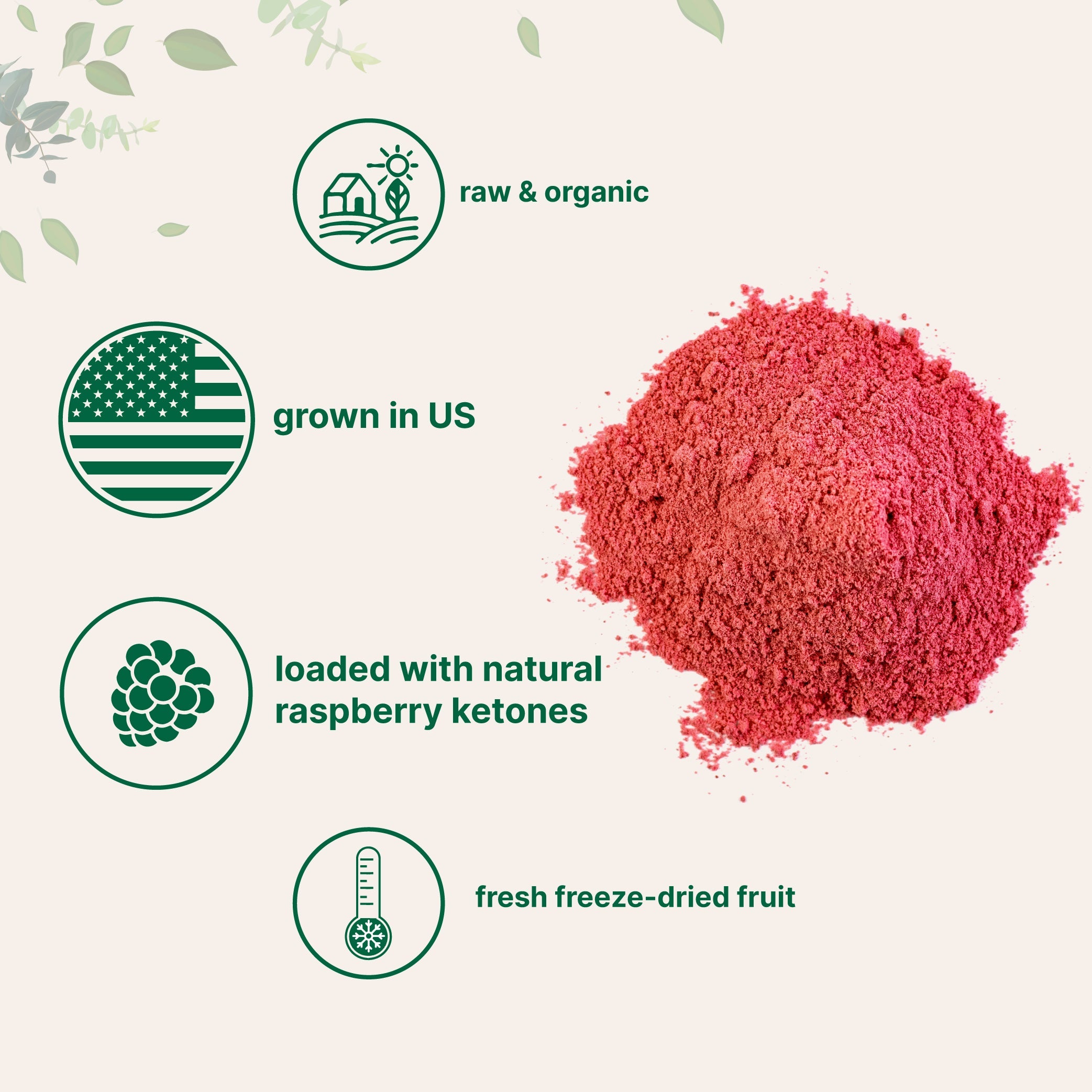 Micro Ingredients Organic Raspberry Juice Powder