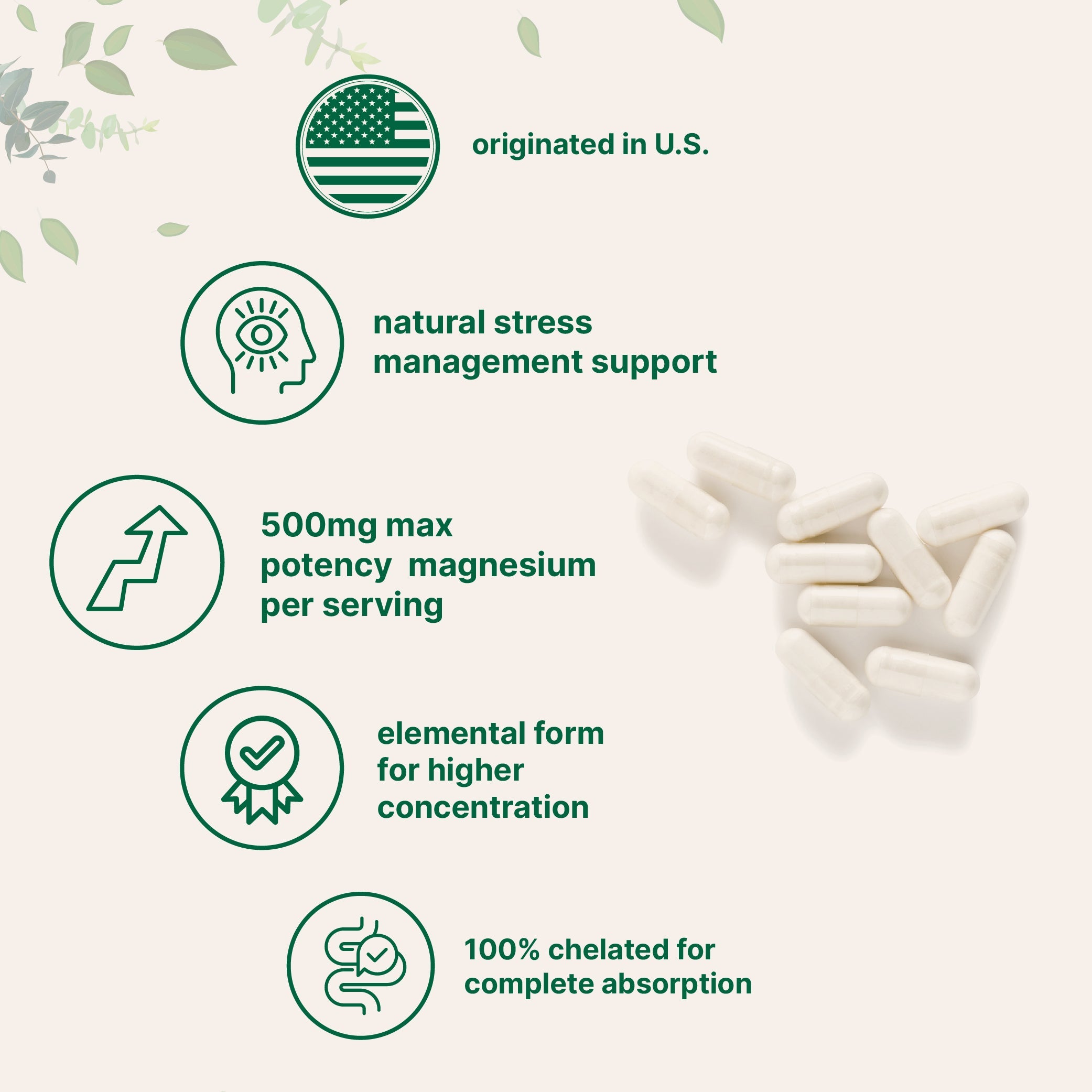 Micro Ingredients Magnesium Glycinate 500mg - Pure & High Potency