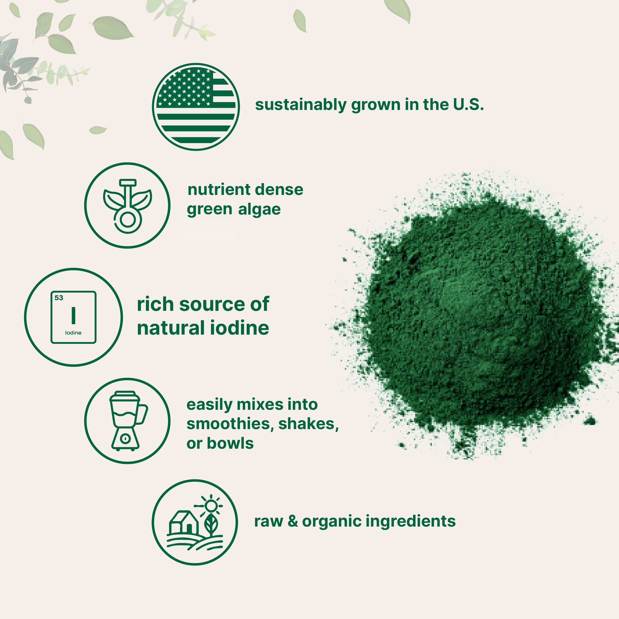 Micro Ingredients Organic Kelp Powder Supplement