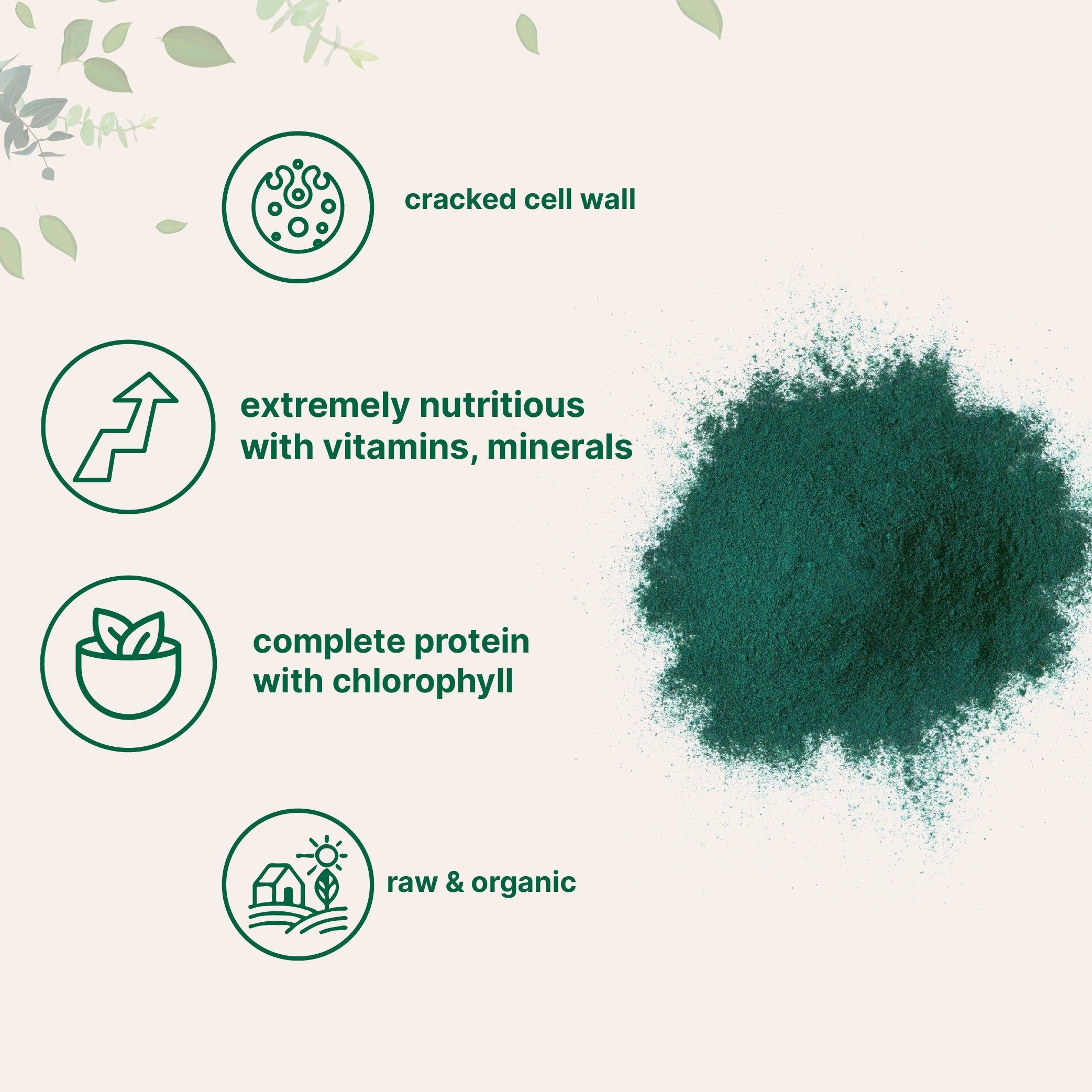 Micro Ingredients Organic Chlorella Powder