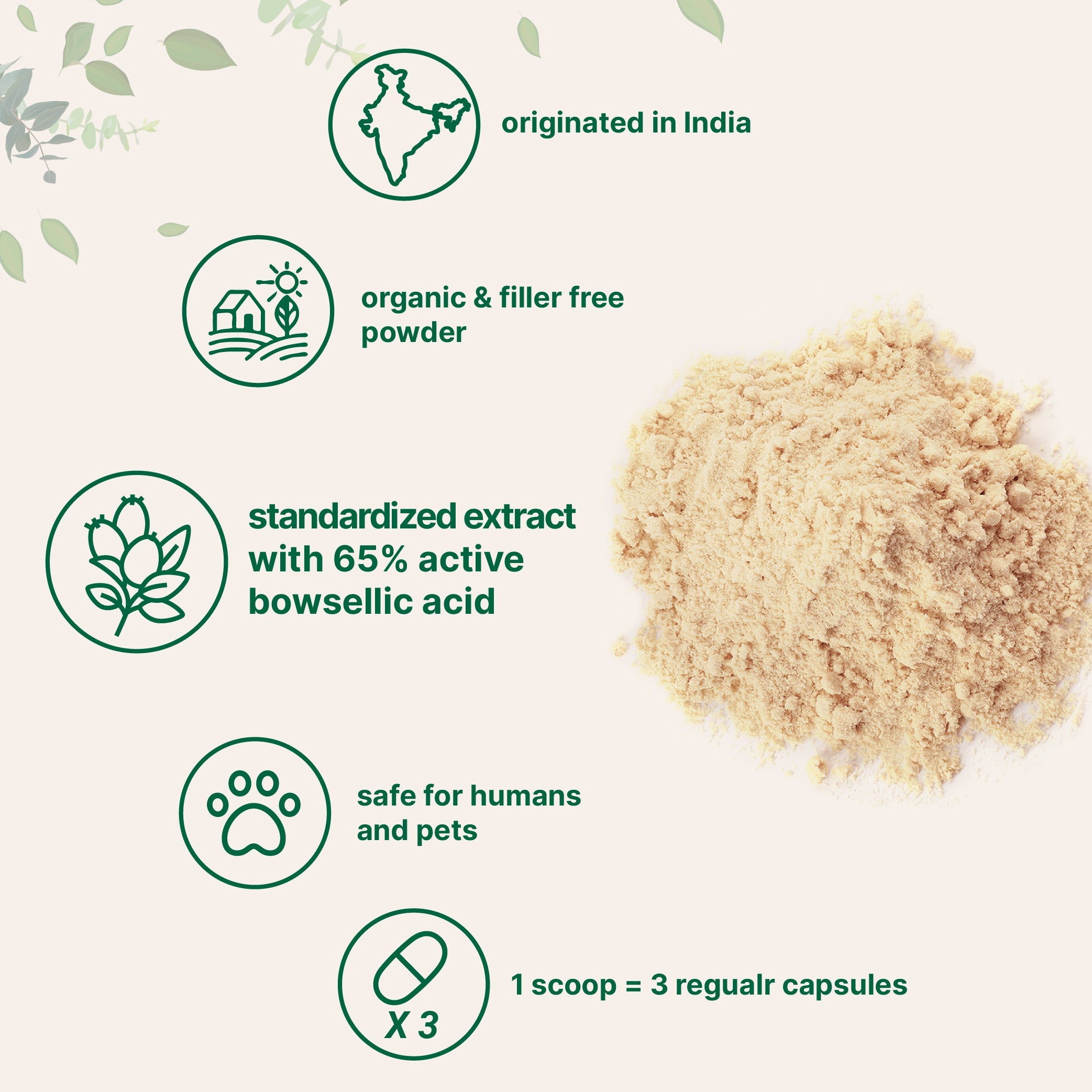 Micro Ingredients Premium Organic Boswellia Serrata Powder