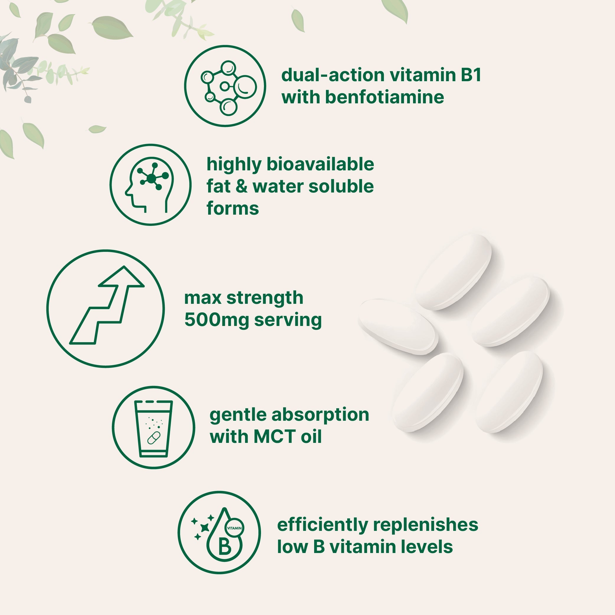 Micro Ingredients Vitamin B1 500mg with Benfotiamine with MCT Oil, 240 softgels