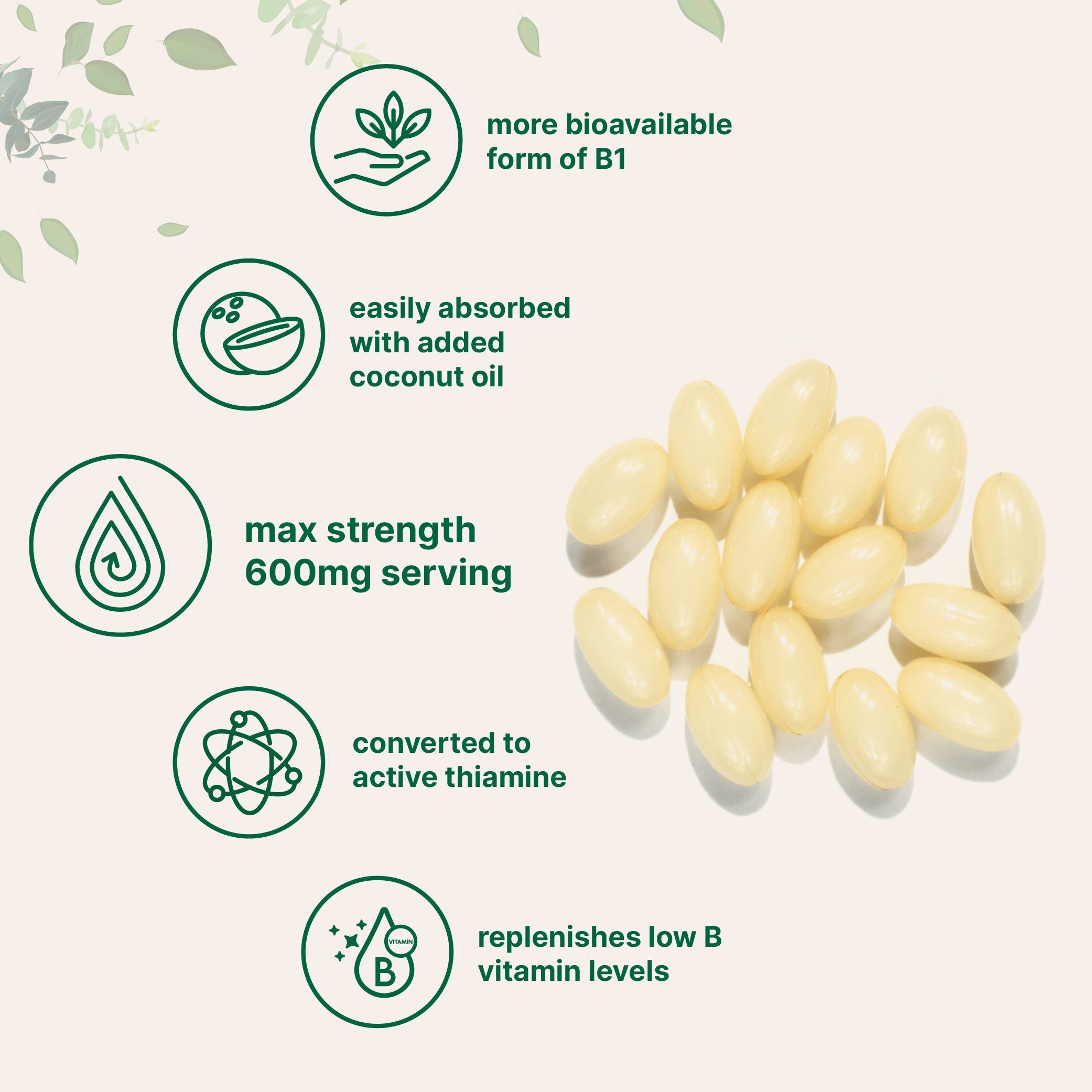 Micro Ingredients Vitamin B1 Benfotiamine, 240 Coconut Oil Softgels