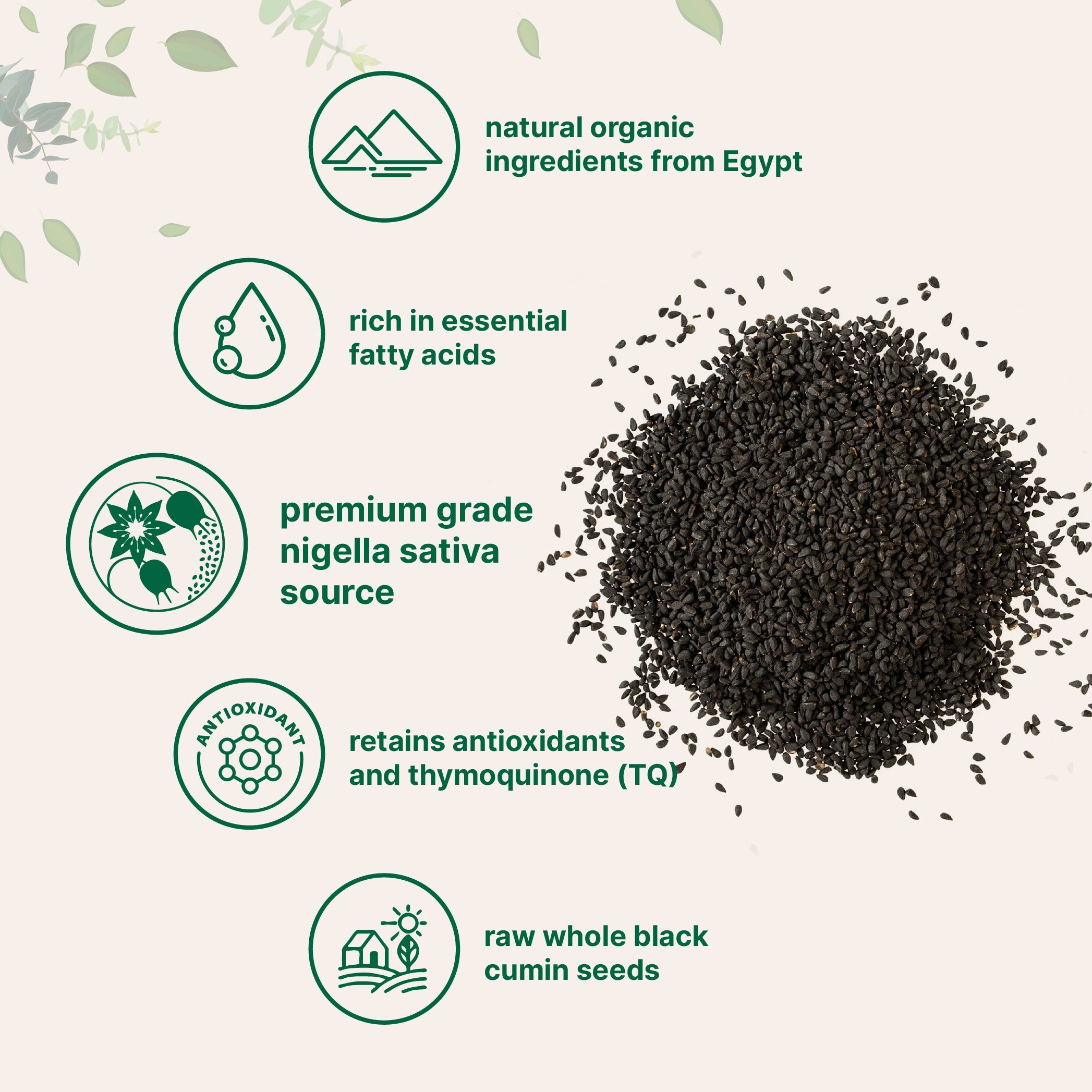 Micro Ingredients Organic Black Cumin Seed (Nigella Sativa)
