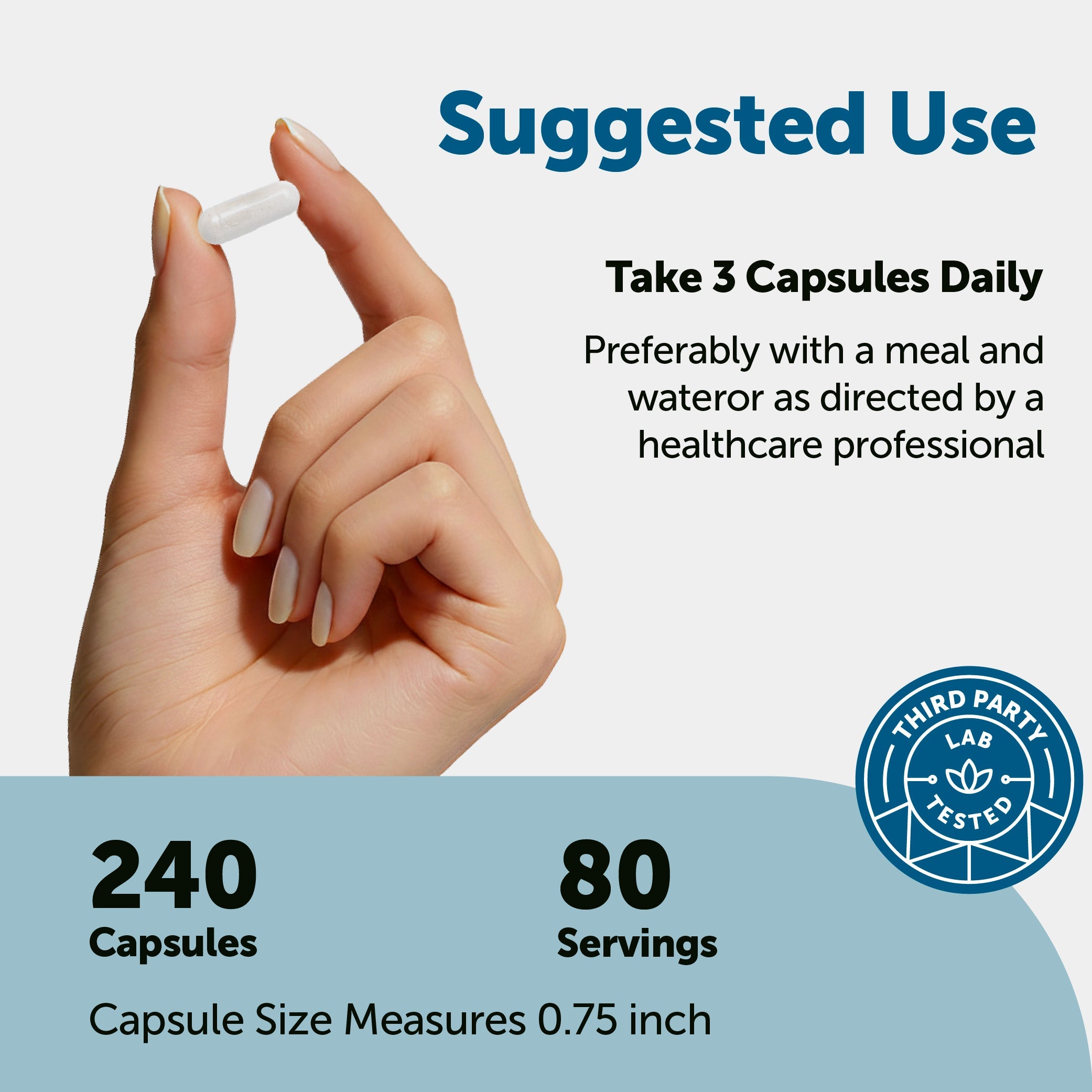 Micro Ingredients DHEA Micronized 100mg, 240 Capsules
