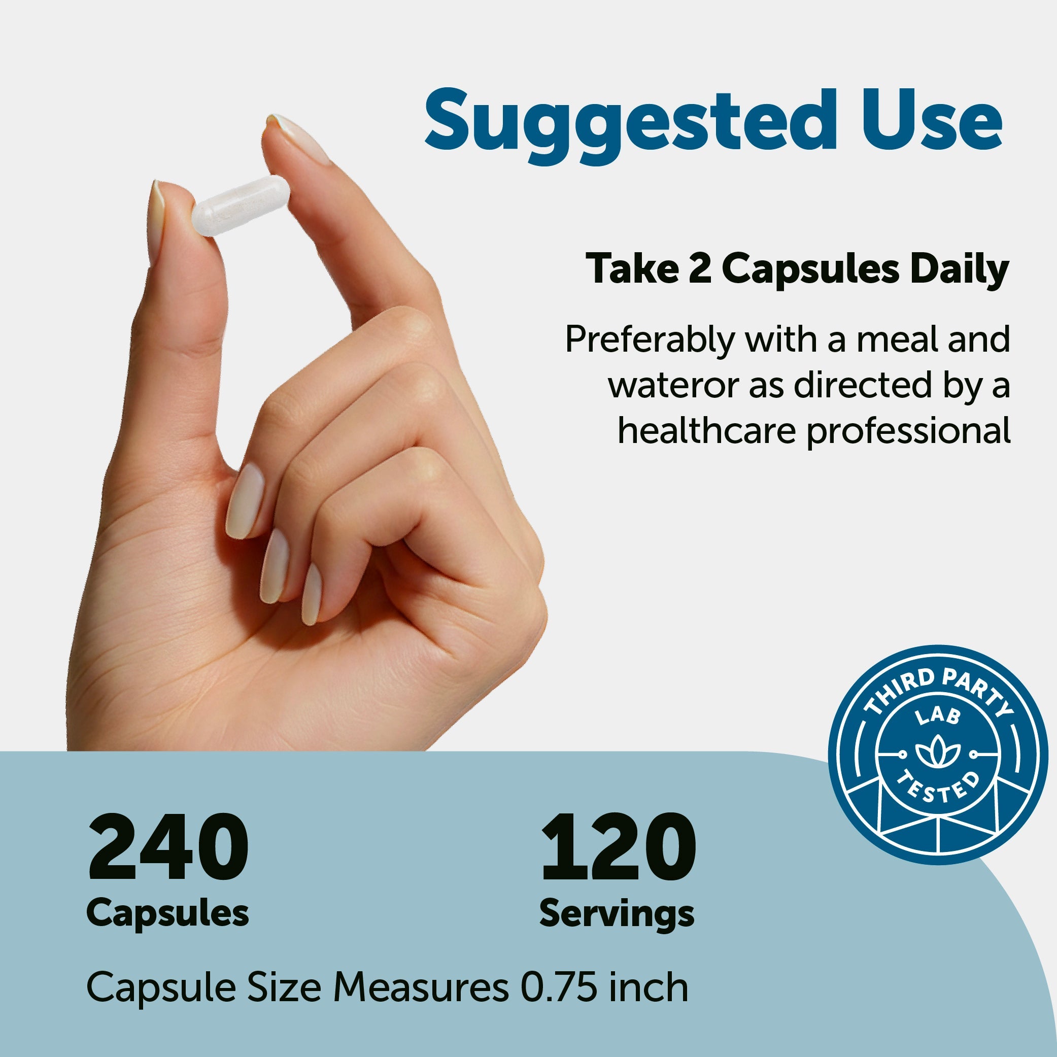 Micro Ingredients DHEA Micronized 50mg, 240 Capsules
