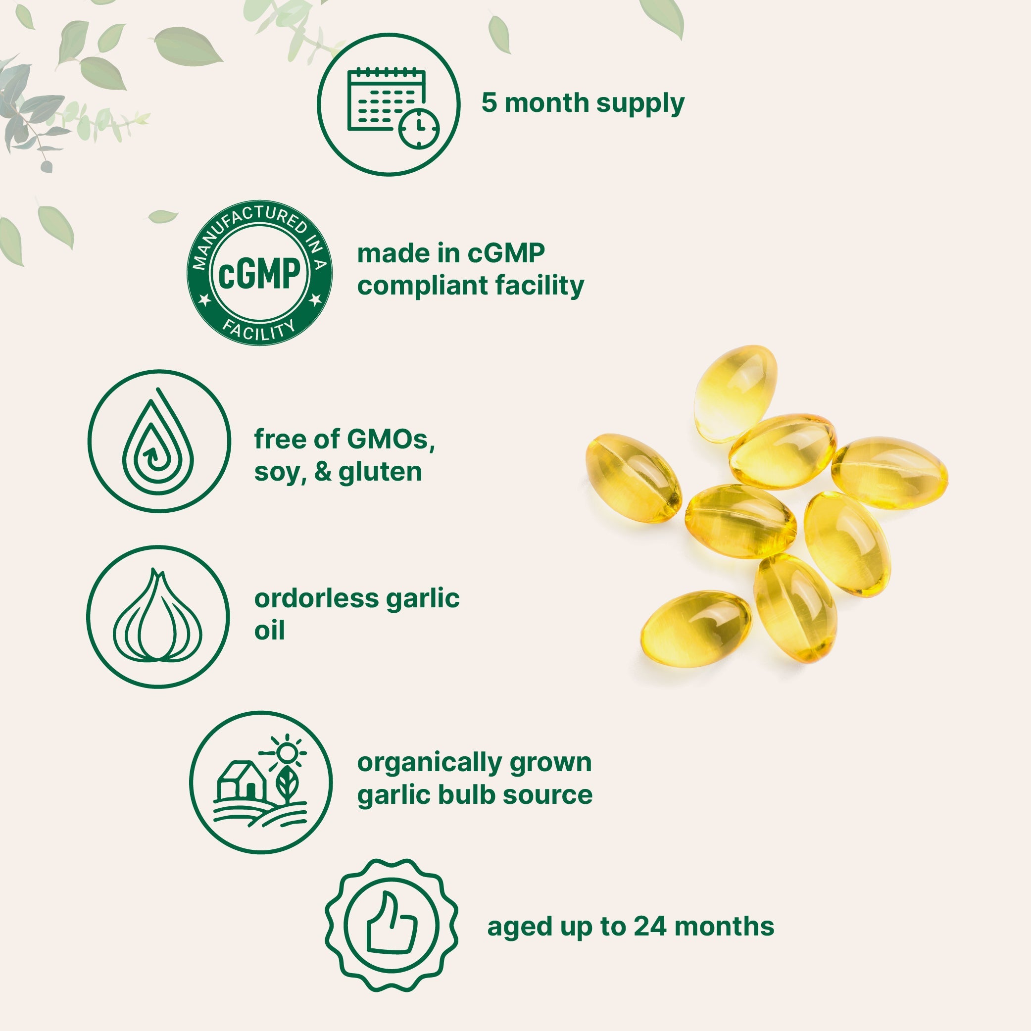 Micro Ingredients Odorless Aged Garlic Extract, 300 Softgels