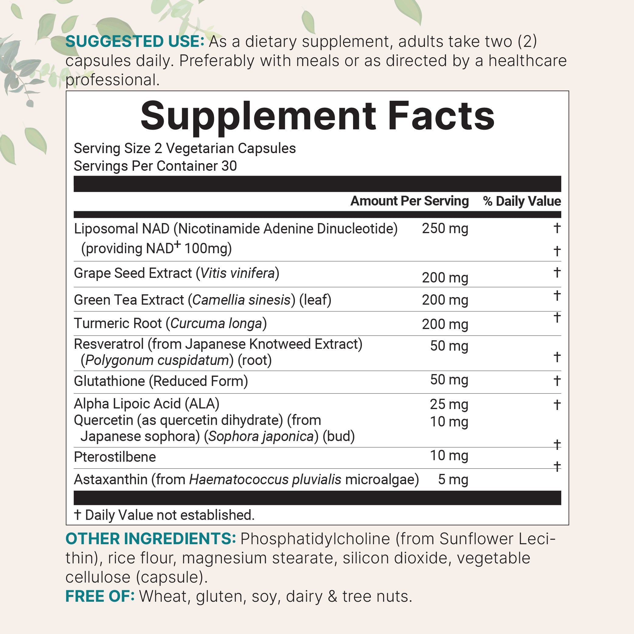 Micro Ingredients Liposomal NAD+ Ultimate 1,000mg, 60 Veggie Capsules