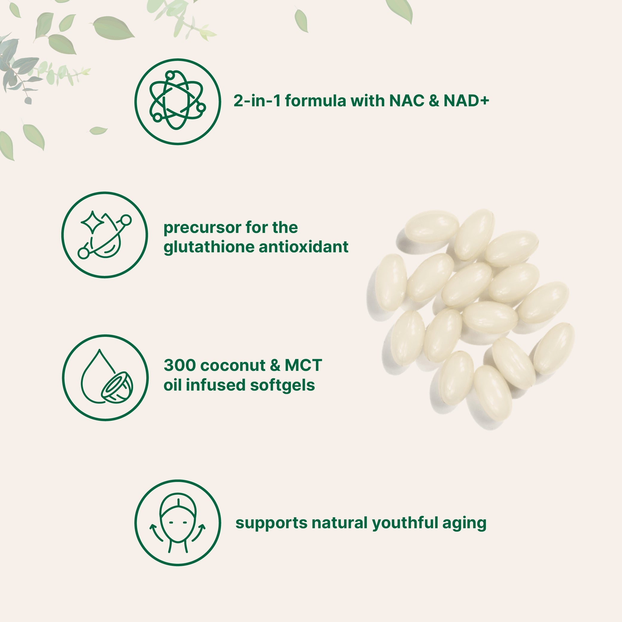 Micro Ingredients NAC 600mg with NAD+, N-Acetyl L-Cysteine + Nicotinamide + MCT Oil, Cellular Energy & Antioxidant Support