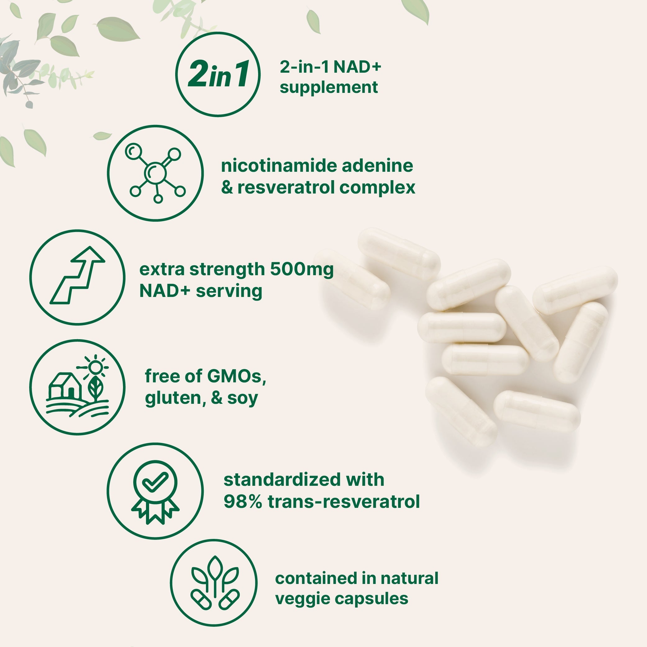 Micro Ingredients NAD+ Supplement 500mg with Resveratrol, 240 Veggie Capsules