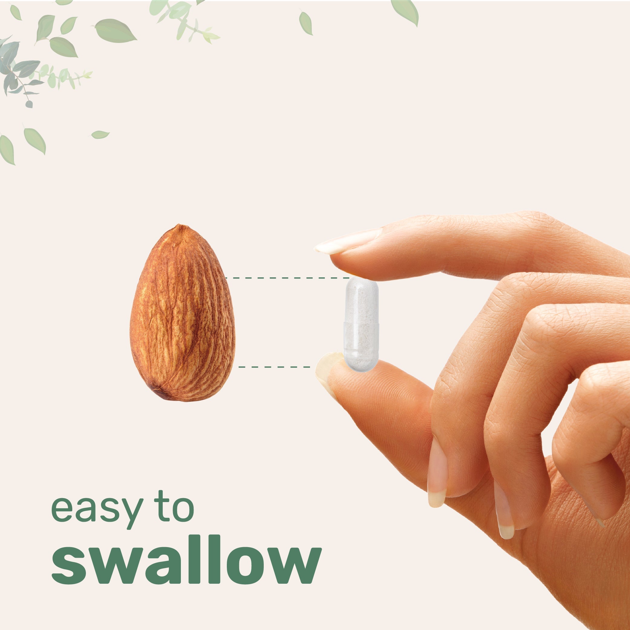 Micro Ingredients Pure Potassium Magnesium Supplement, 300 Capsules