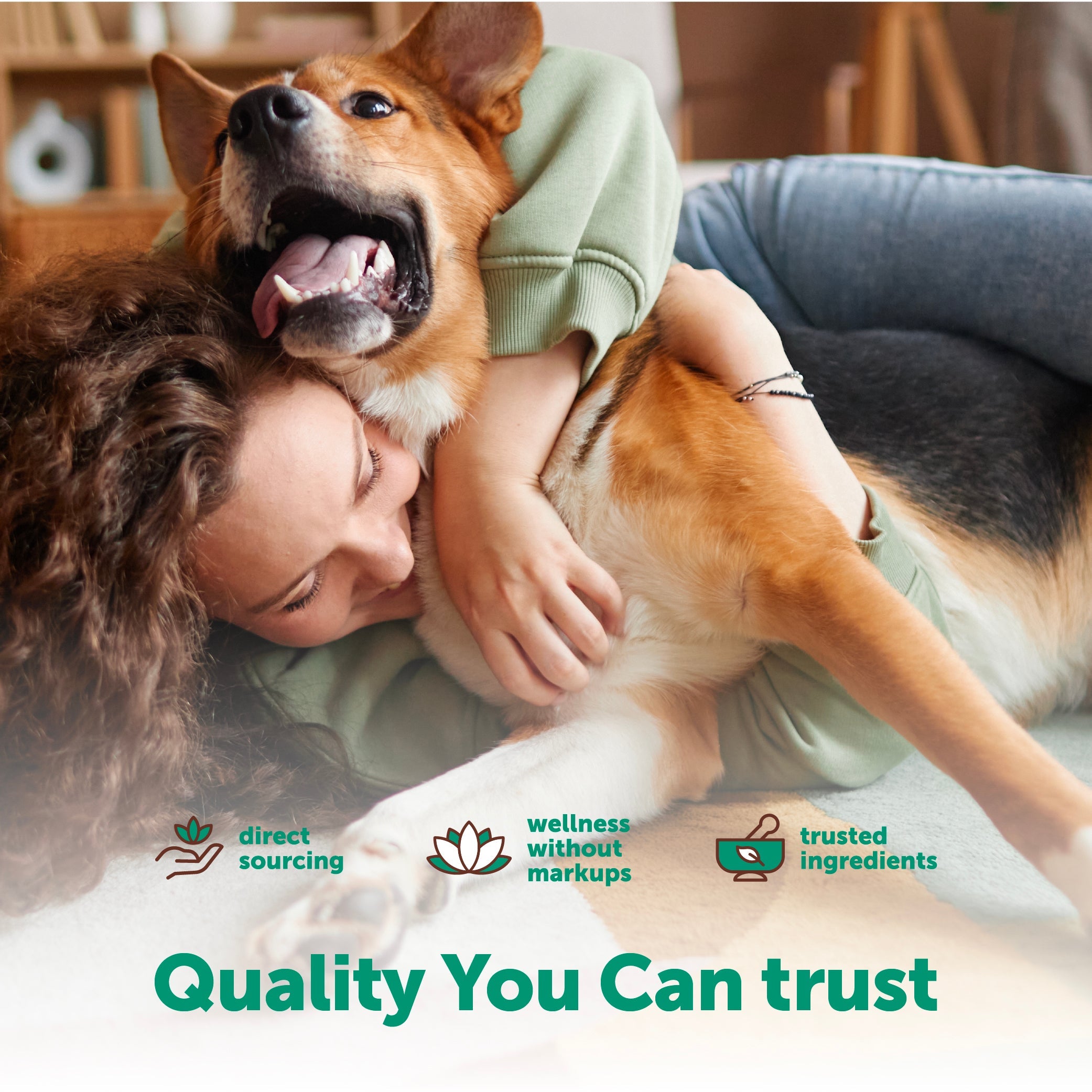 Micro Ingredients Probiotics for Dogs 6 Billion CFU, Duck Flavor, 240 Soft Chews