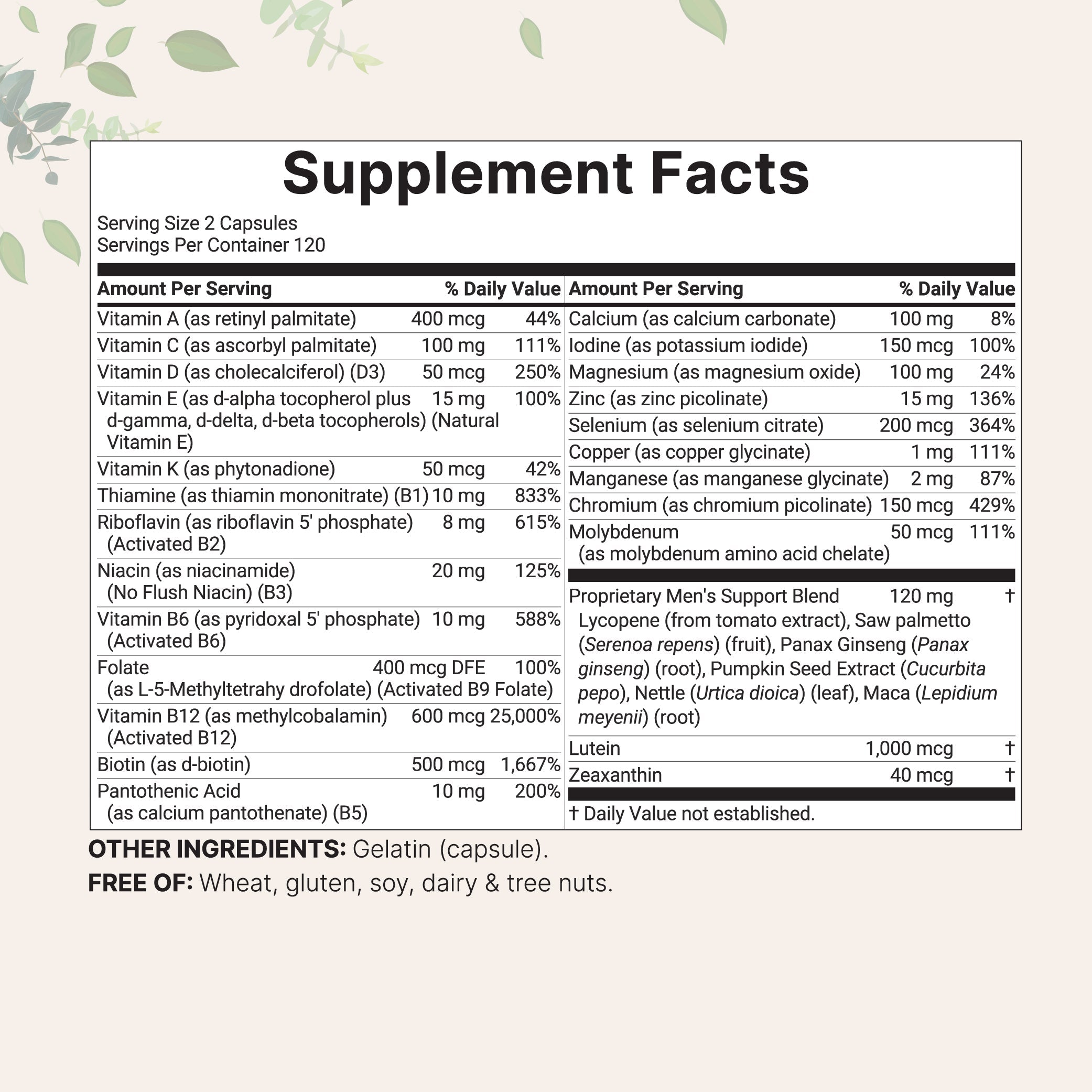 Micro Ingredient Pure Methylated Multivitamin for Men, 240 Capsules