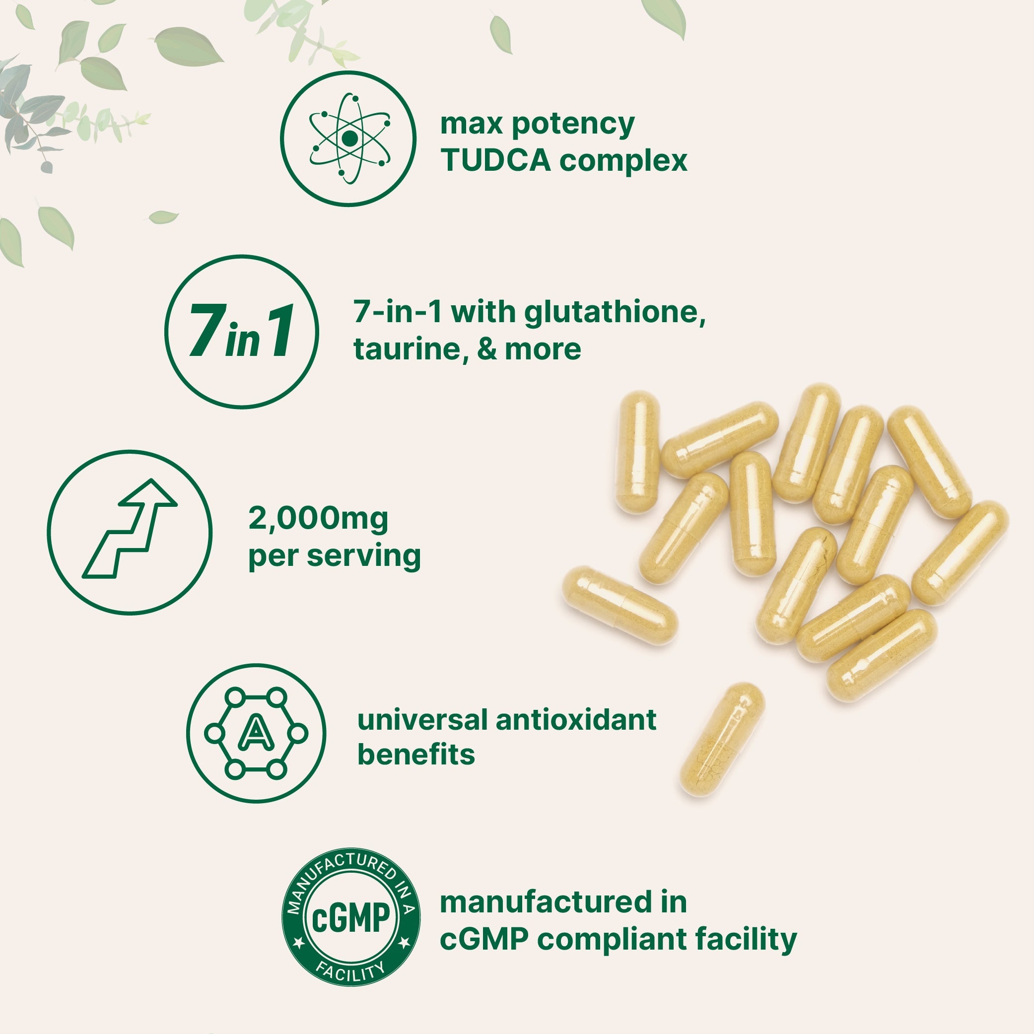 Micro Ingredients TUDCA 2,000mg Bile Salts Supplement, 240 Capsules
