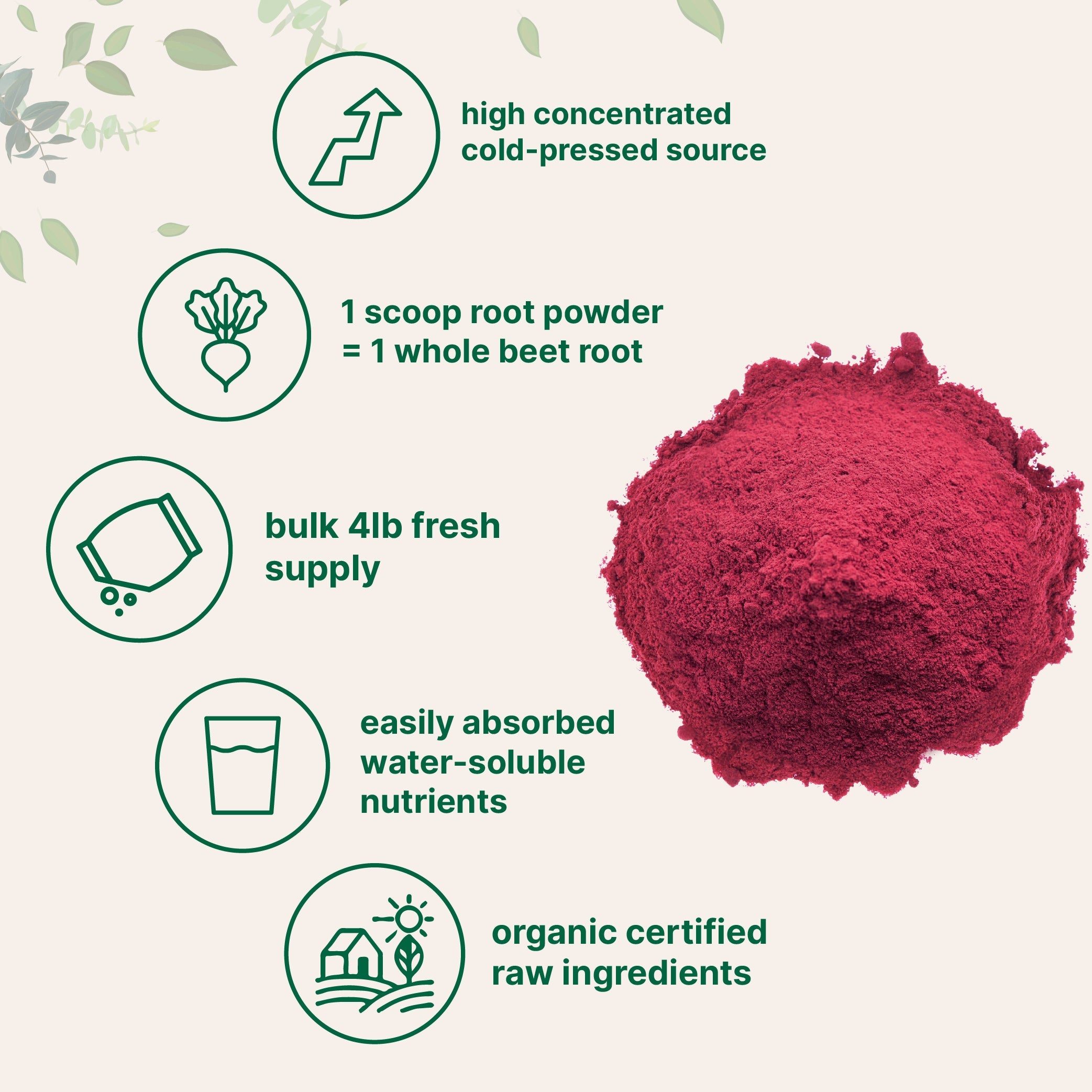 Micro Ingredients Organic Beet Root Powder-4lb
