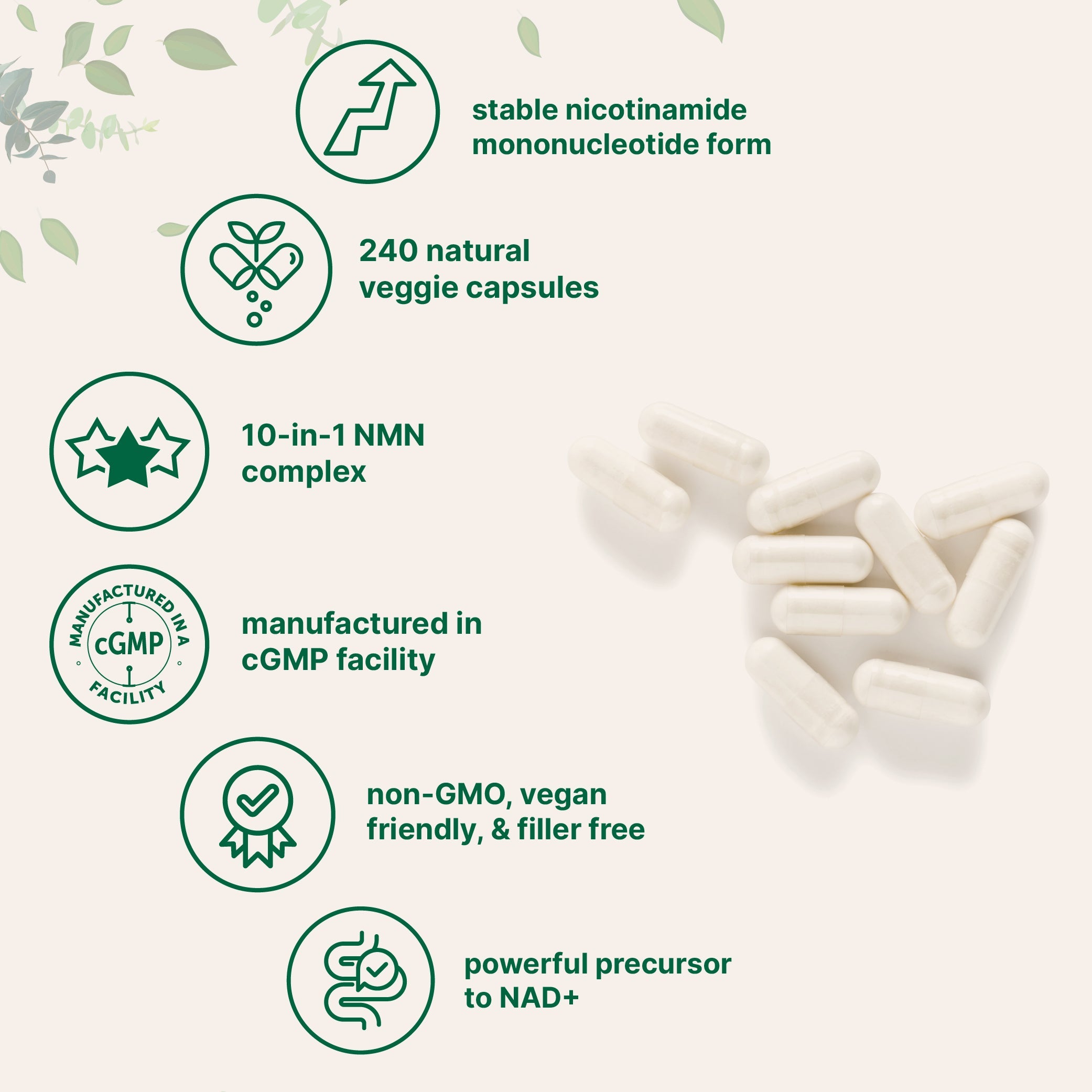Micro Ingredients NMN Complex 1,000mg Per Serving, 240 Veggie Capsules