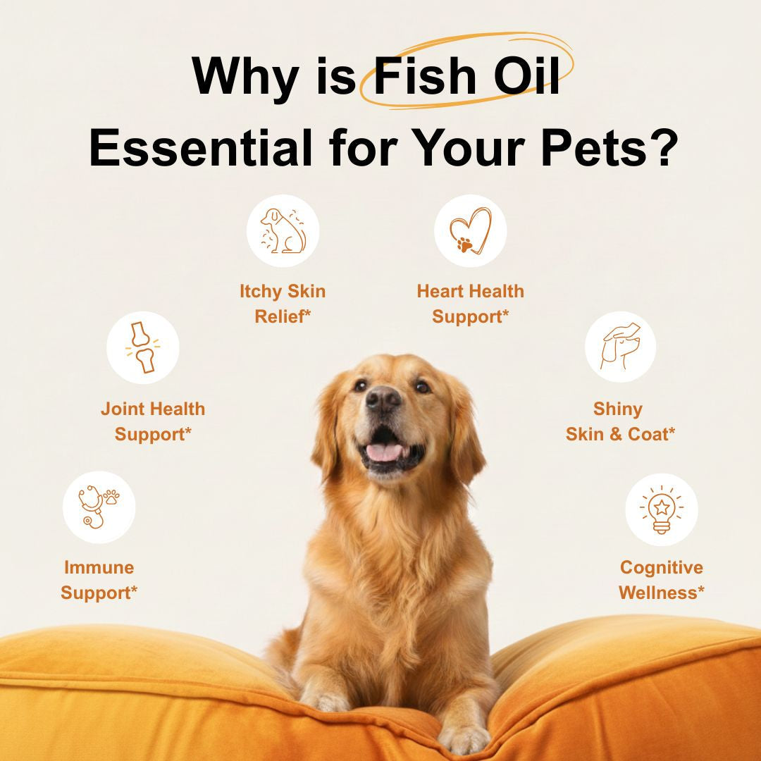 Micro Ingredients Omega-3 Fish Oil for Dogs, 16 fl oz