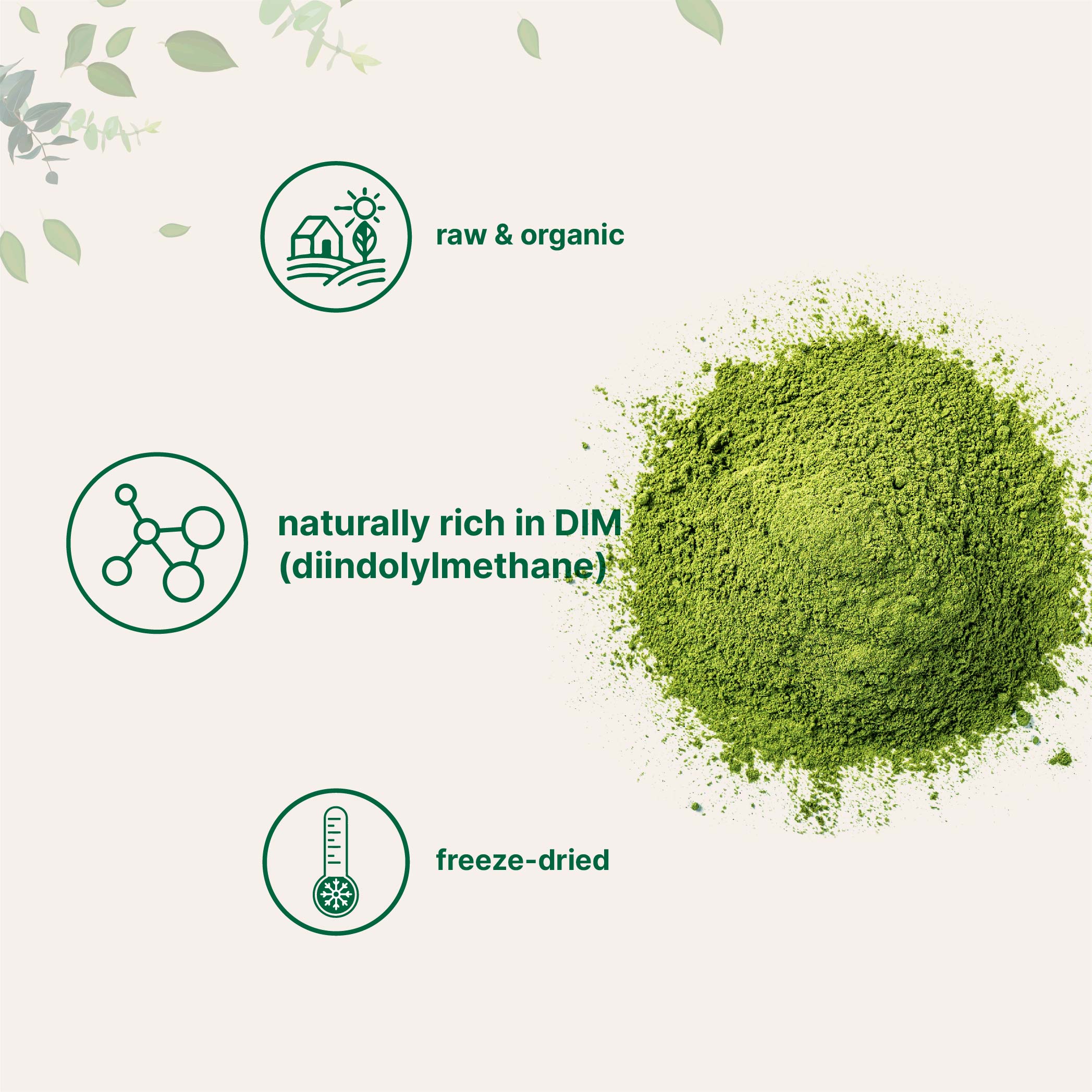 Micro Ingredients Organic Broccoli Powder, 1lb