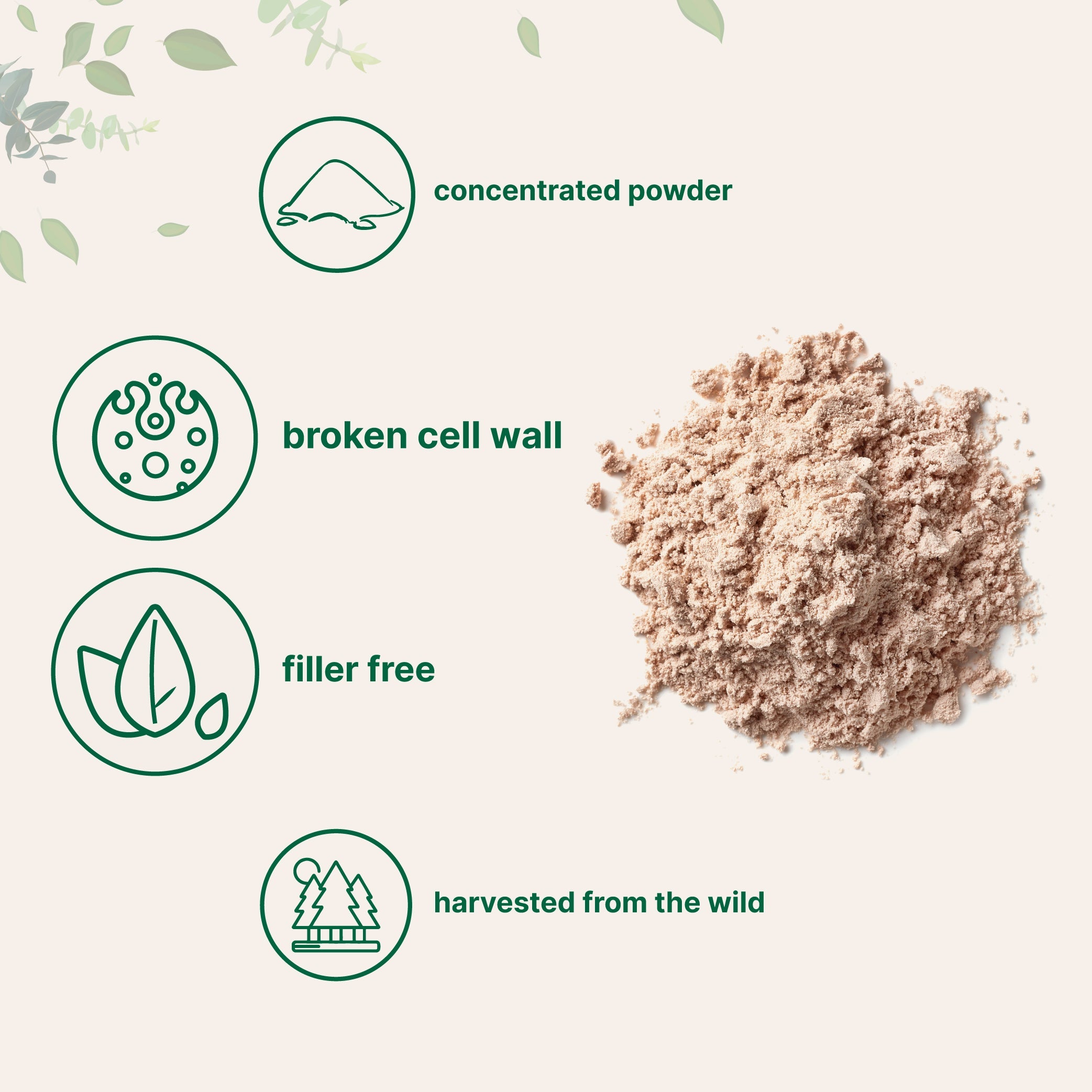 Micro Ingredients Pine Pollen Powder, 6 oz