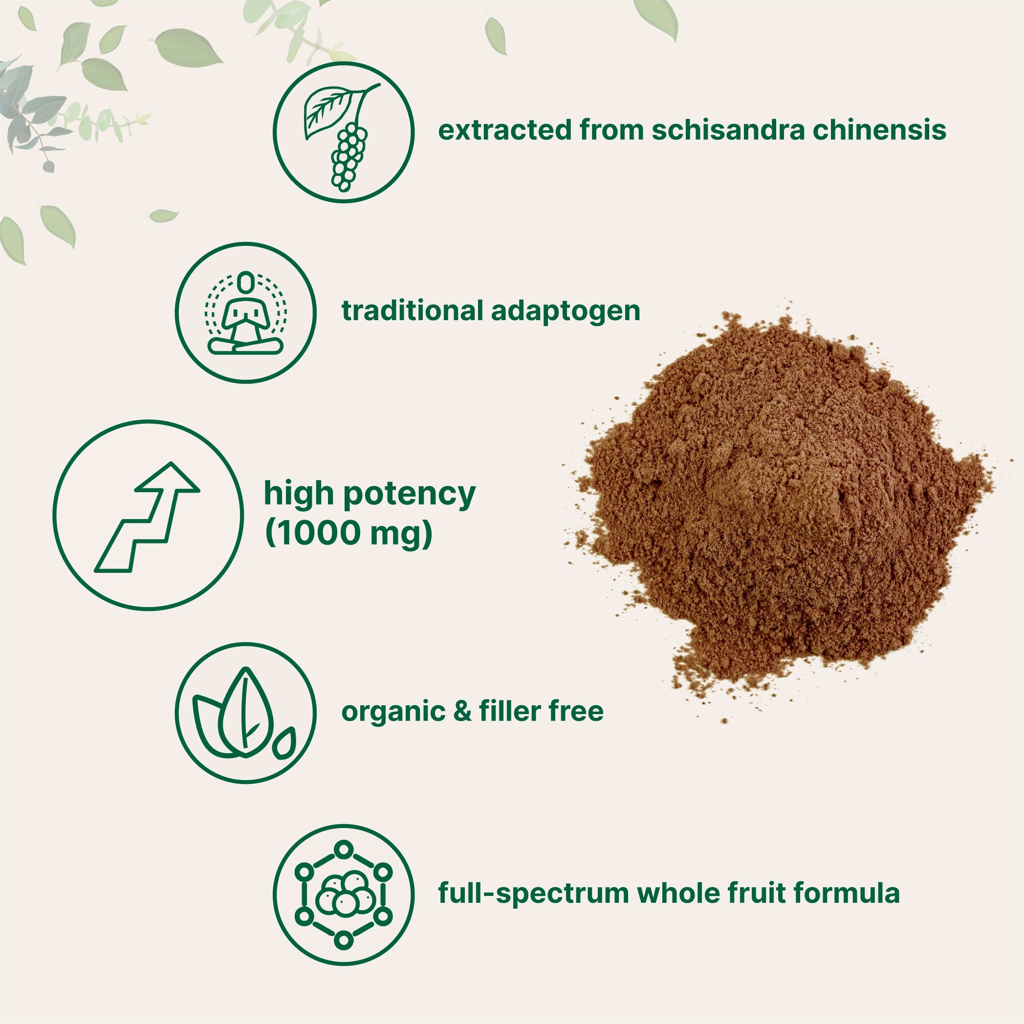 Micro Ingredients Organic Schisandra Berry Powder
