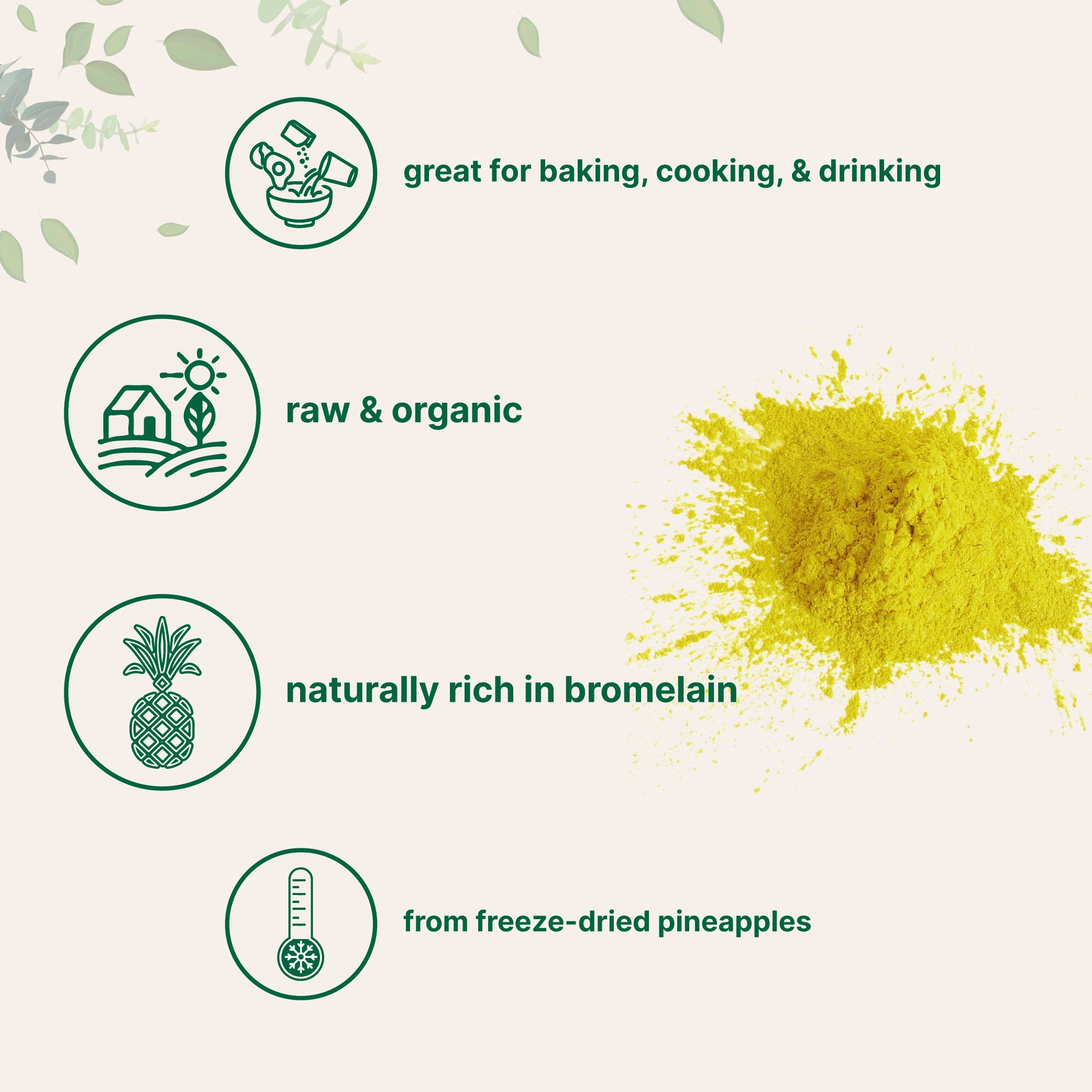 Micro Ingredients Organic Pineapple Powder-Rich in Vitamins