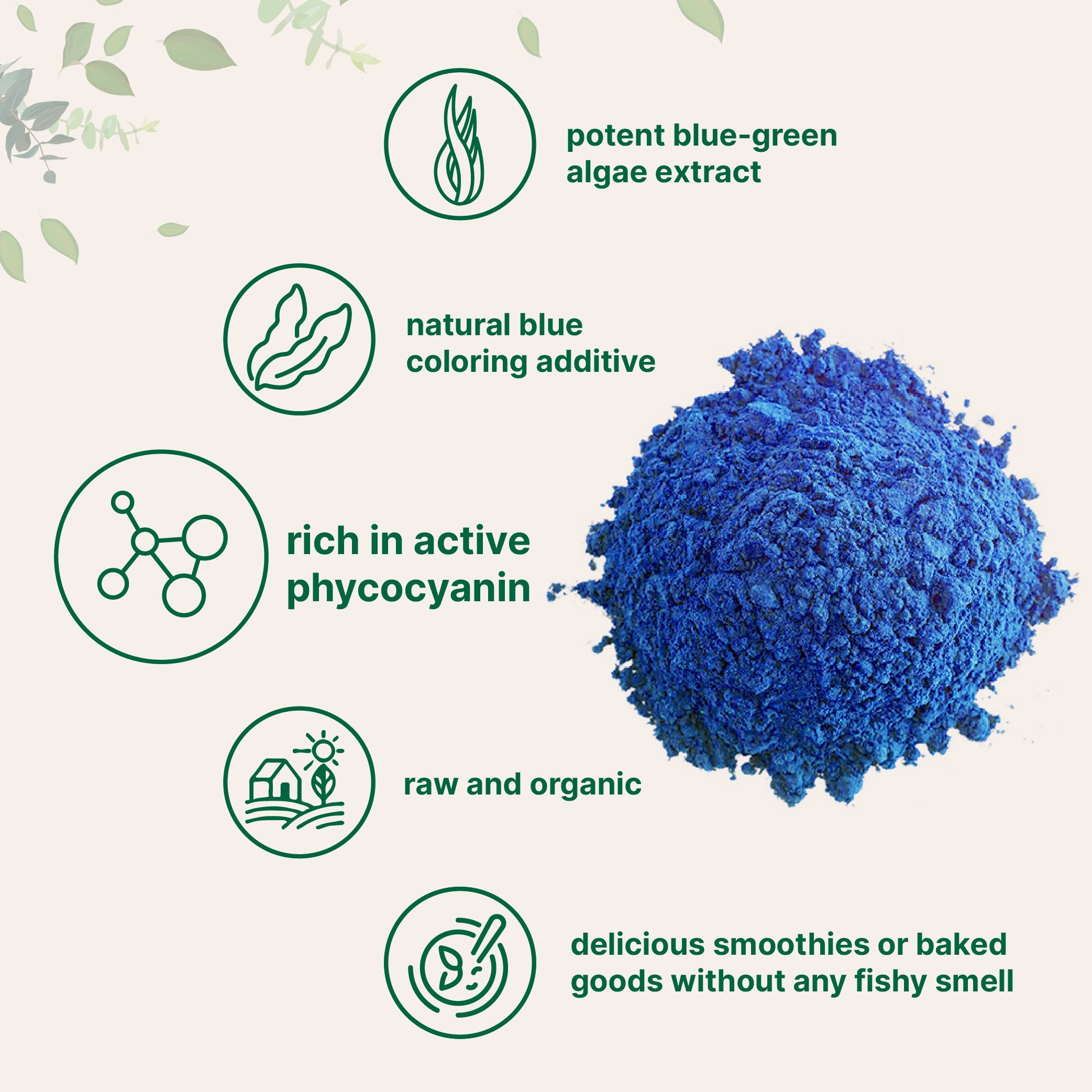 Micro Ingredients Organic Blue Spirulina Powder (Phycocyanin Extract) - No Fishy Smell, 100% Vegan Protein from Blue-Green Algae