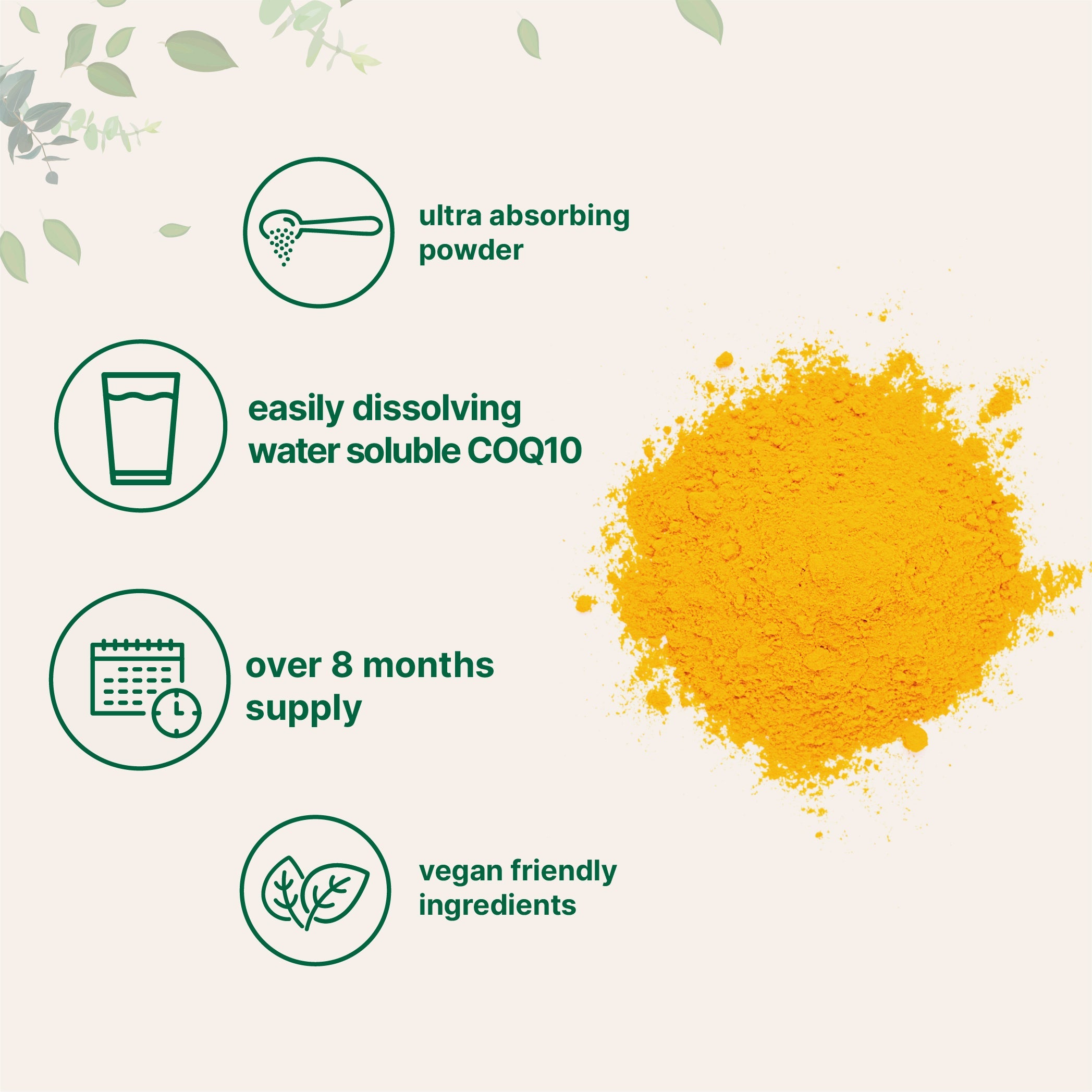 Micro Ingredients COQ10 Powder, 50 Grams