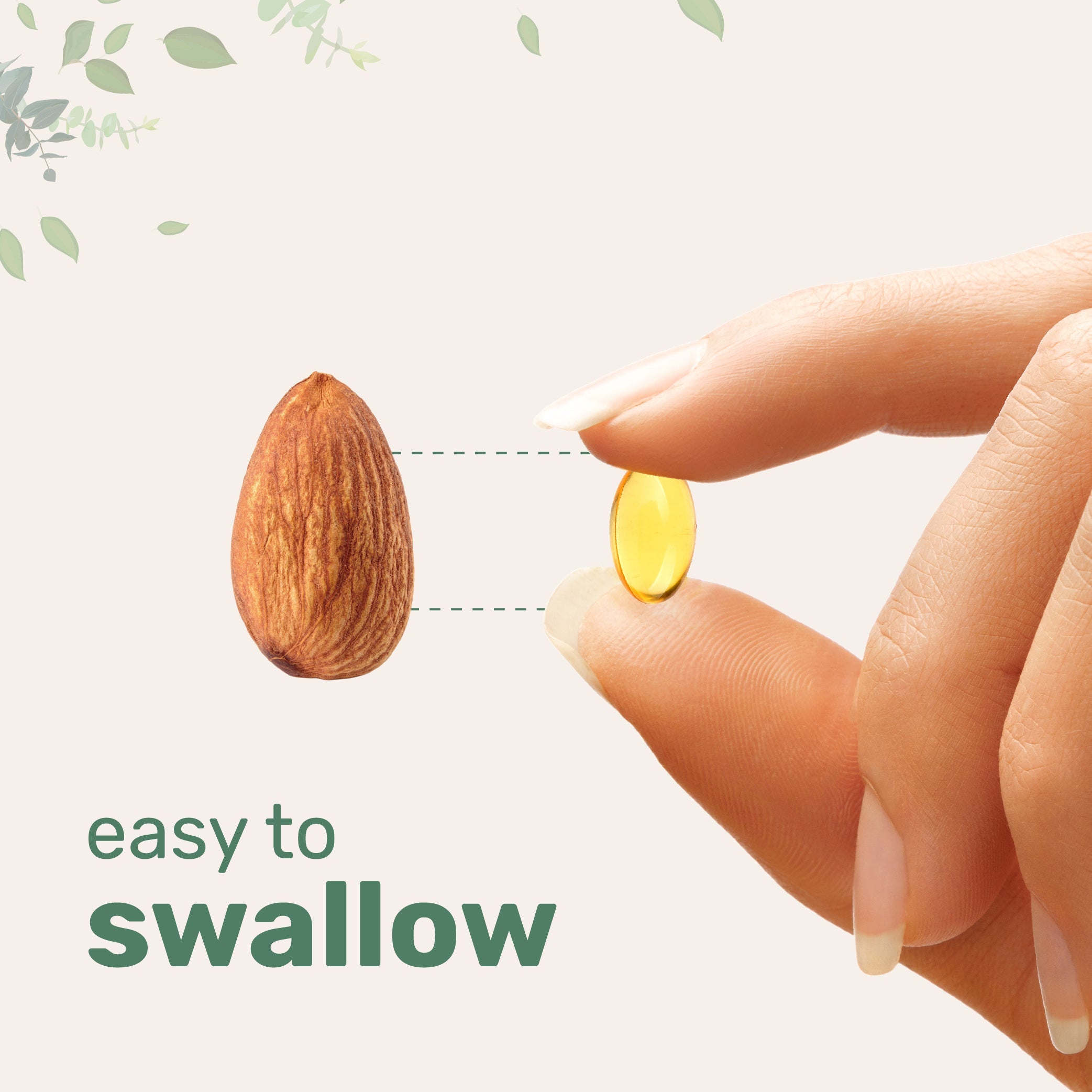 Micro Ingredients Odorless Aged Garlic Extract, 300 Softgels