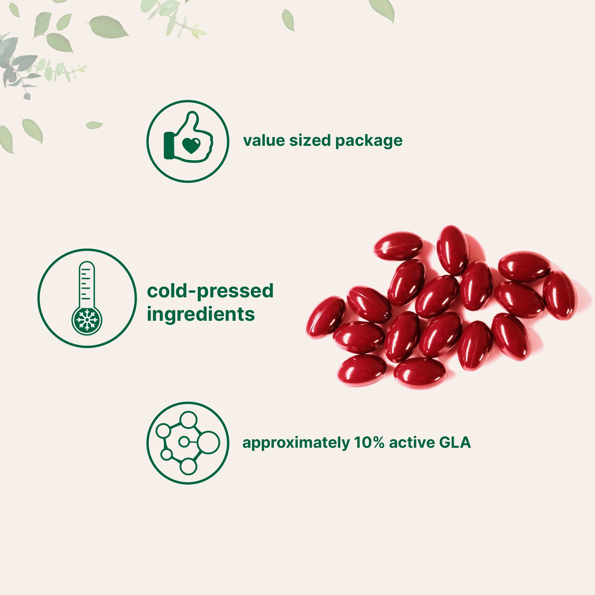 Micro Ingredients Evening Primrose Oil Softgels