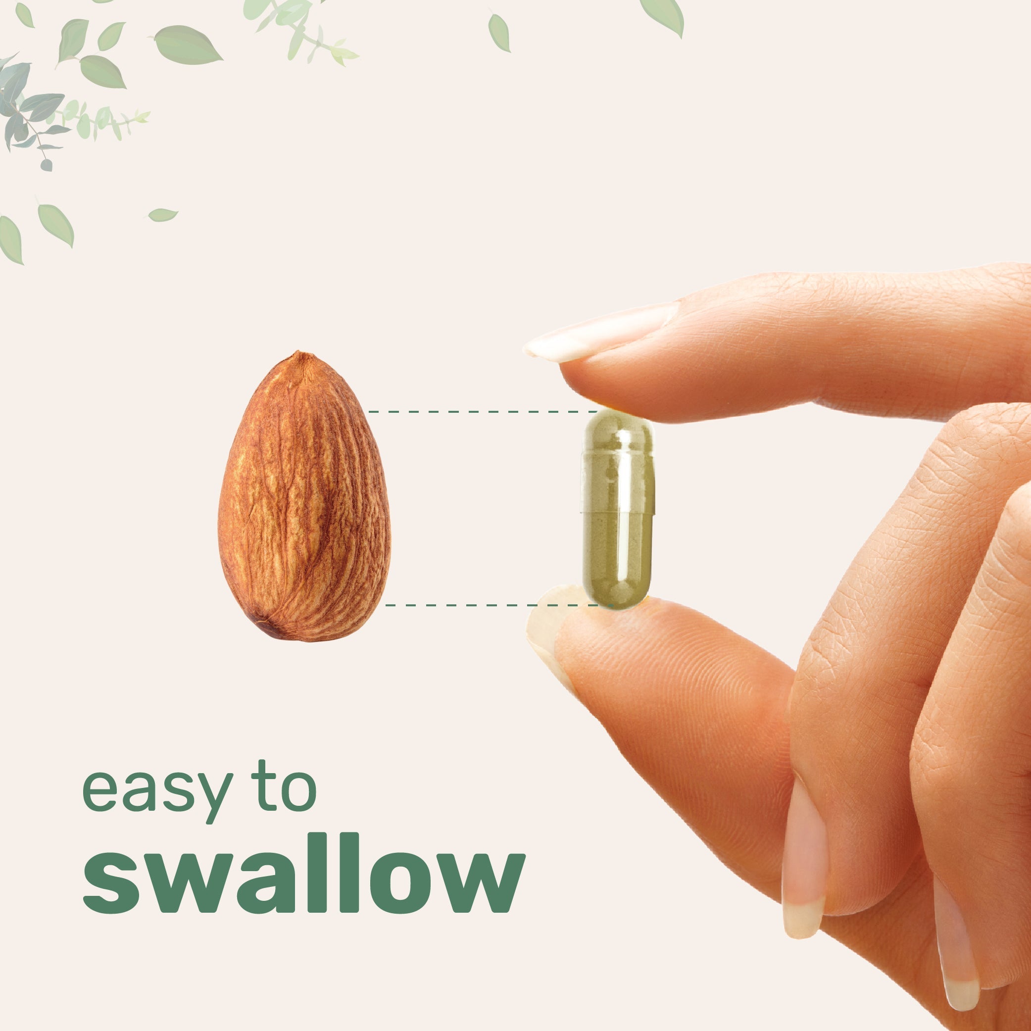 Micro Ingredients Fruits + Veggies and Probiotics, 240 Vegetarian Capsules