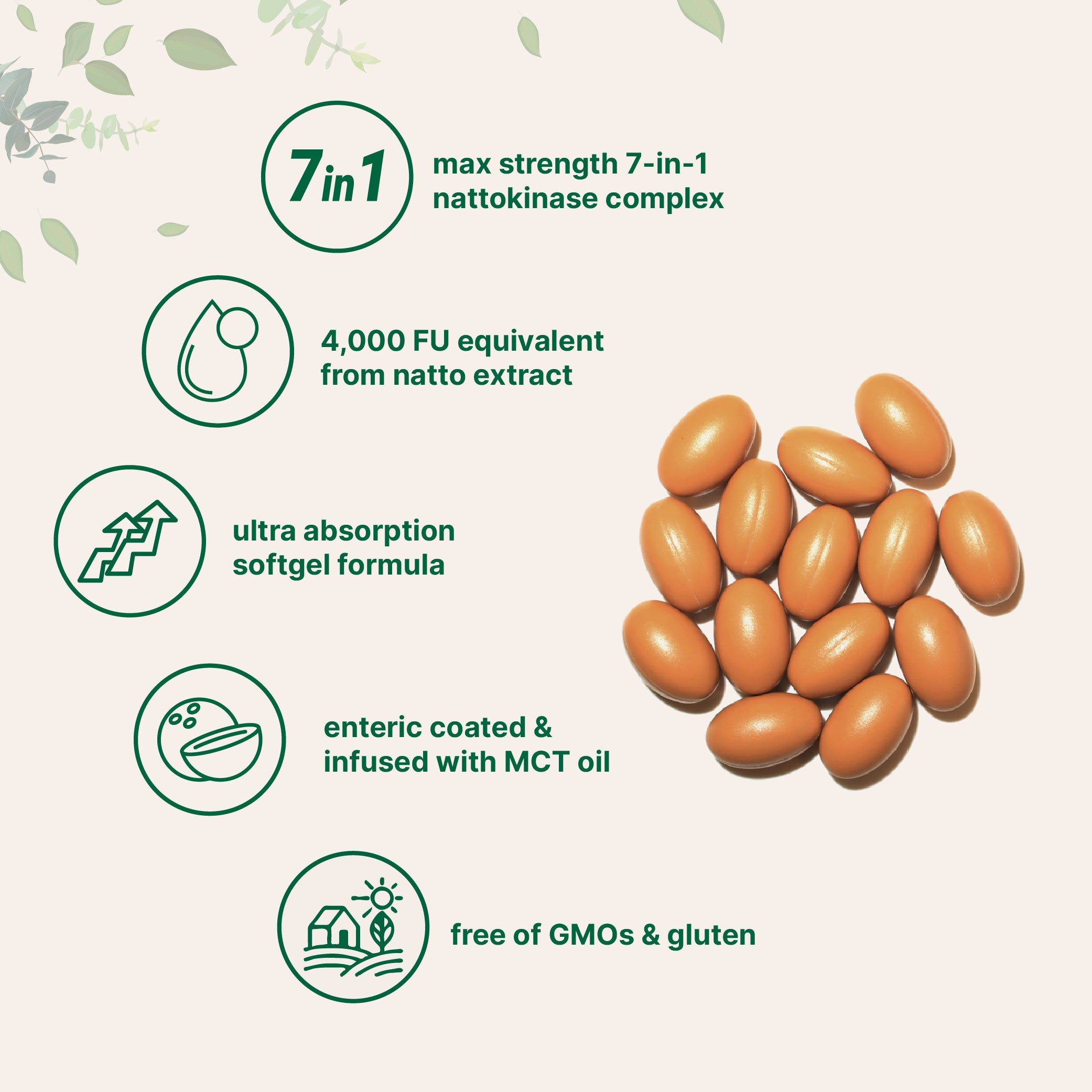 Micro Ingredients Nattokinase 4,000 FU Equivalent, 240 Enteric Coated Softgels (2 Pack), with MCT Oil