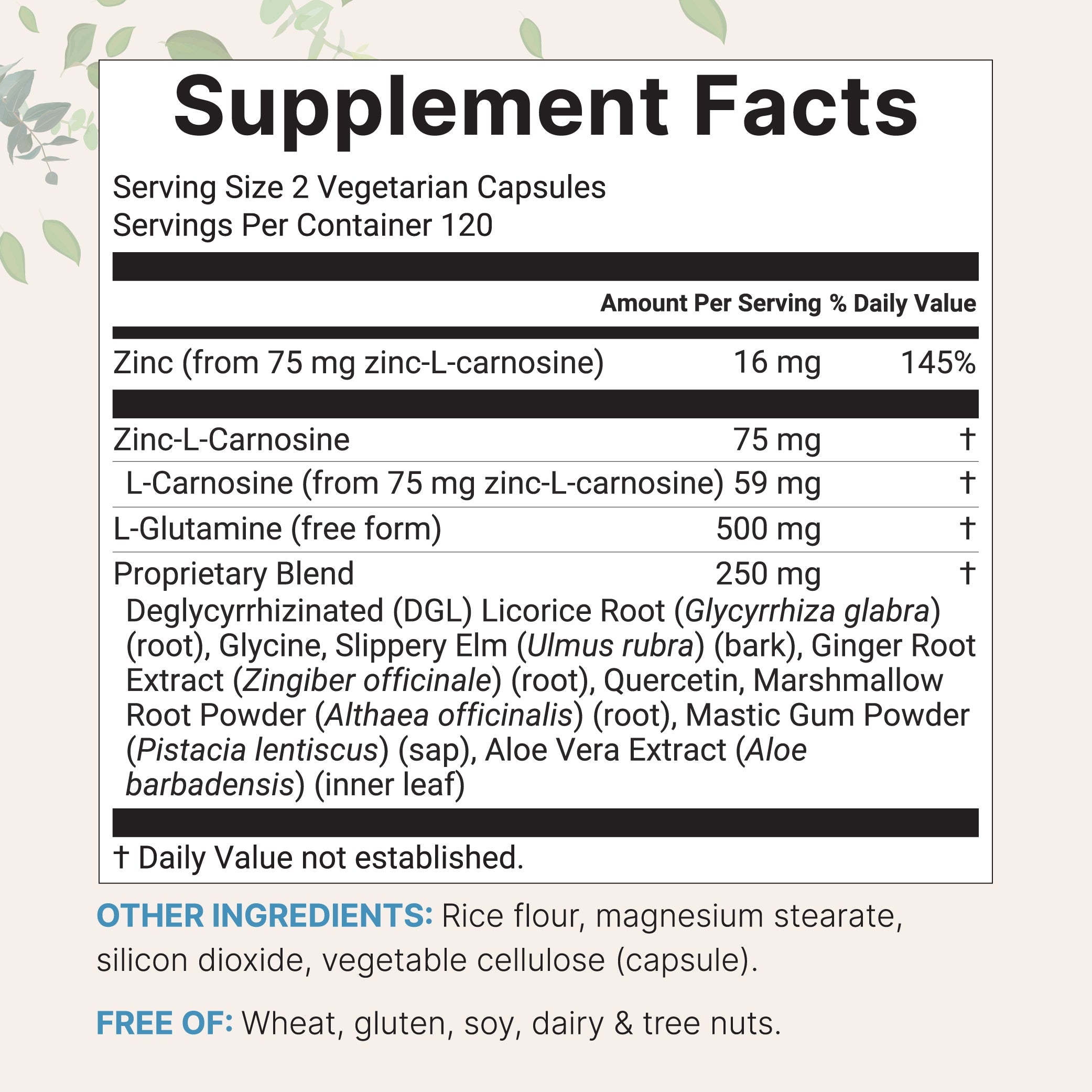 Micro Ingredients Zinc Carnosine 75mg, 240 Veggie Capsules