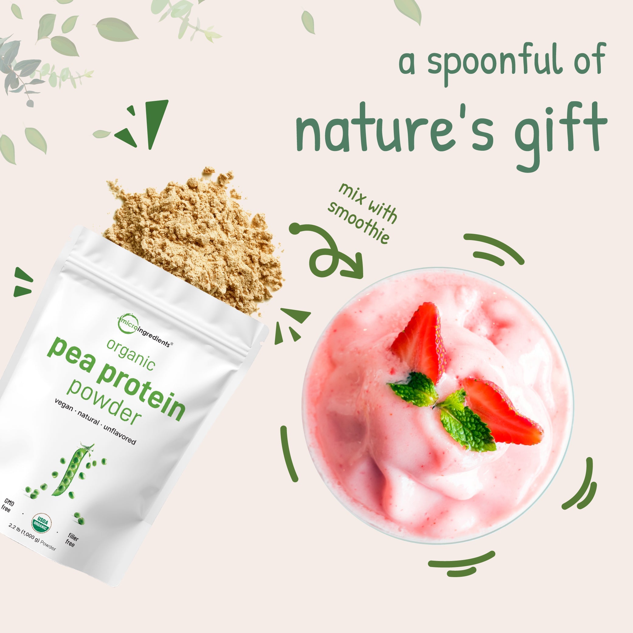 Micro Ingredients Organic Pea Protein Powder 2.2 Pound