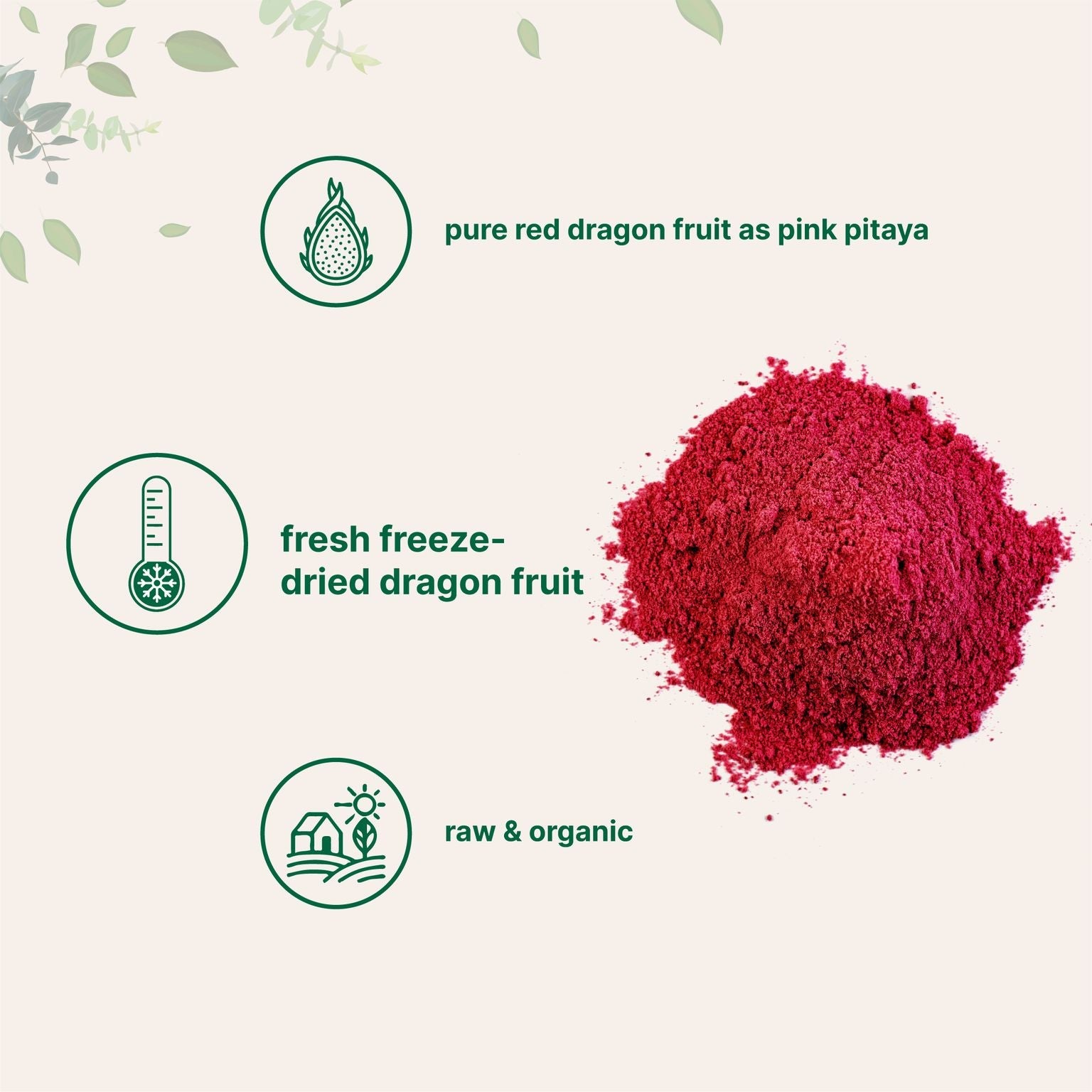 Micro Ingredients Organic Dragon Fruit Powder